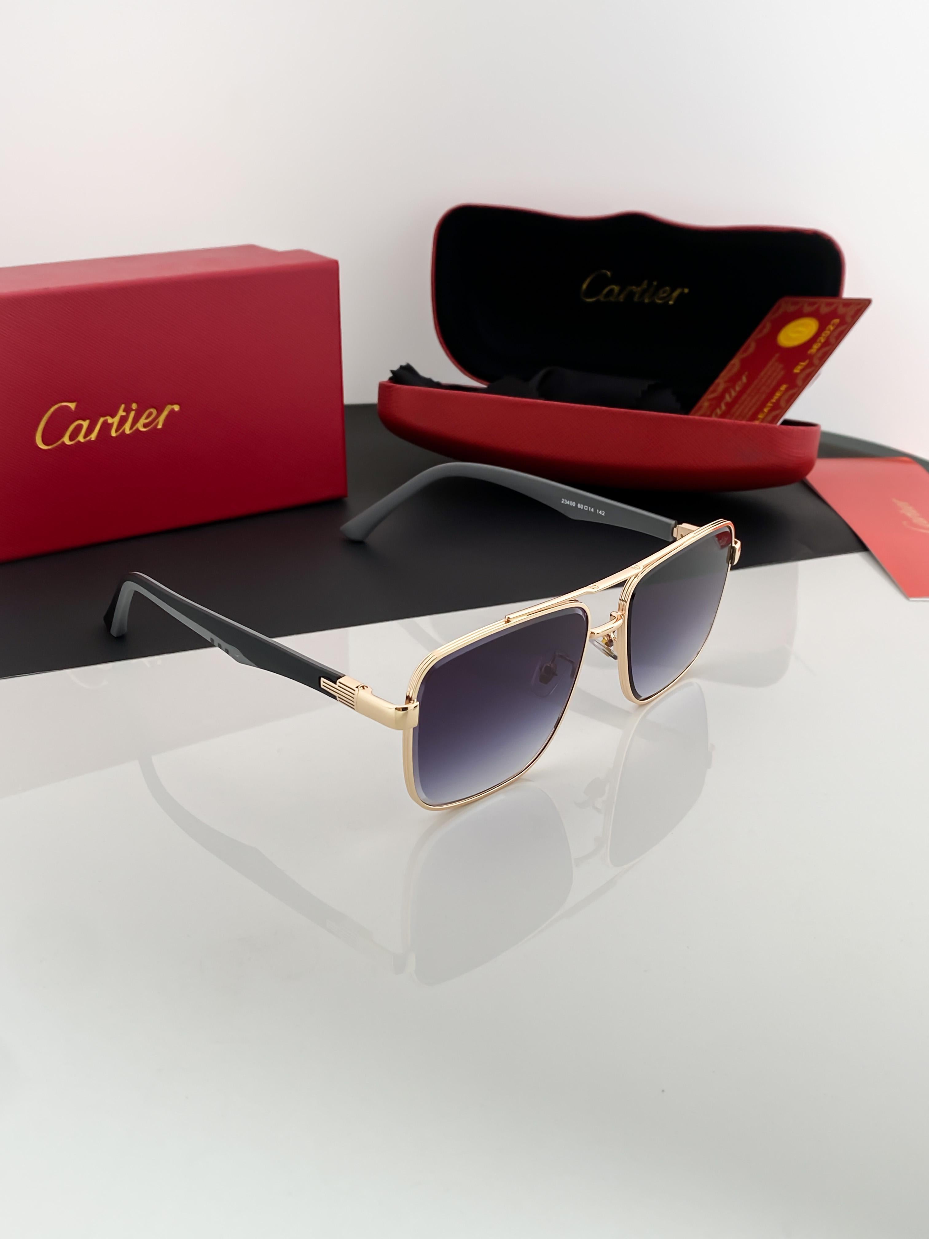 CA_RT_IER GOLD BLACK SHADED 23400 B